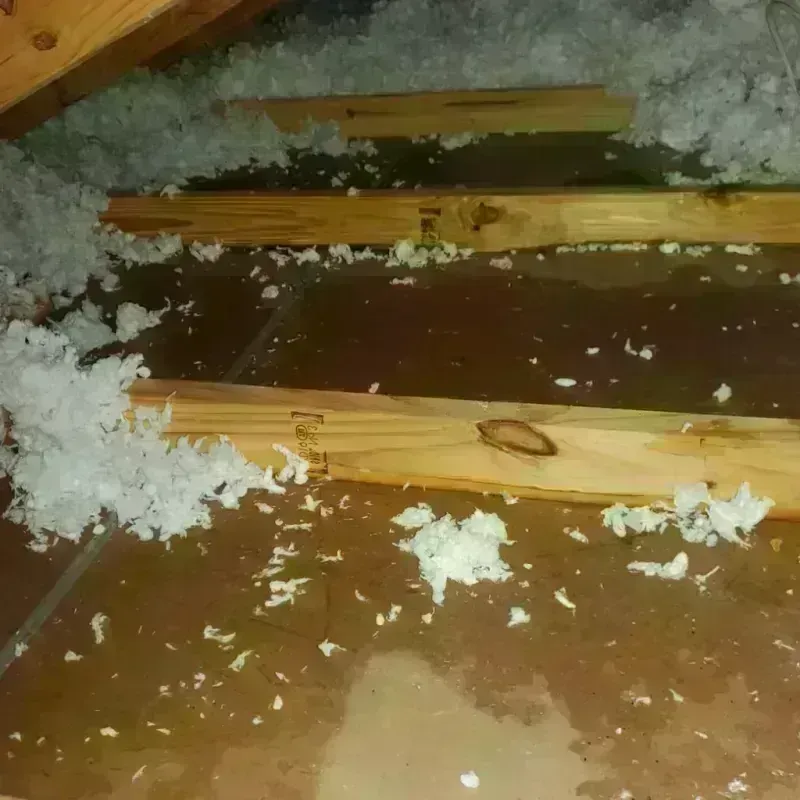 Attic Water Damage in North Providence, RI