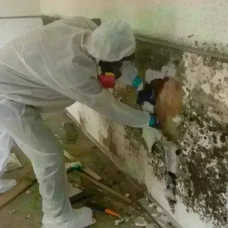 Mold Remediation and Removal in North Providence, RI